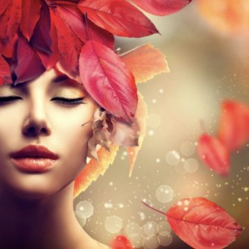 Screenshot 2020-01-23 at 17.43.53 The Next Chapter…